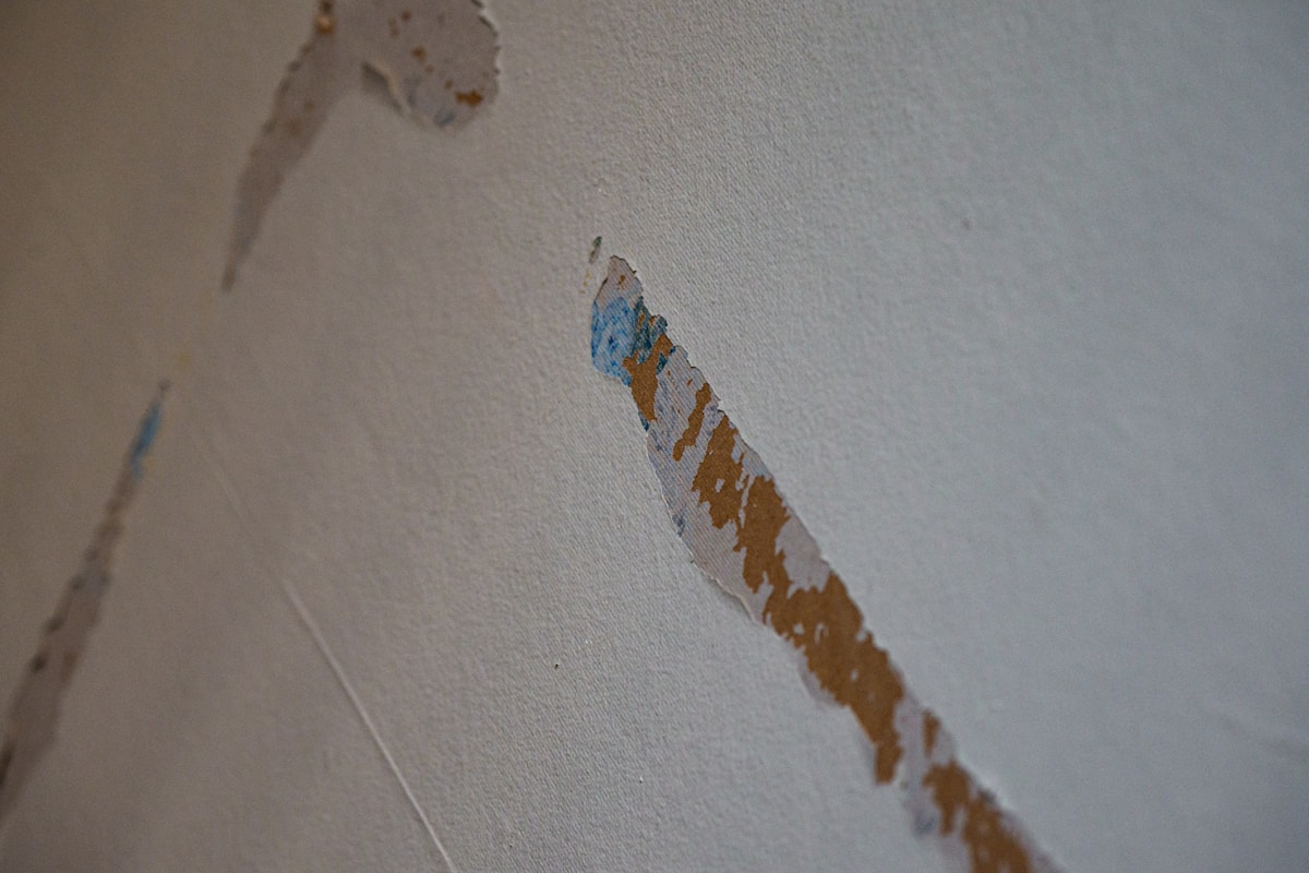 Mold Remediation service in Ocala, FL